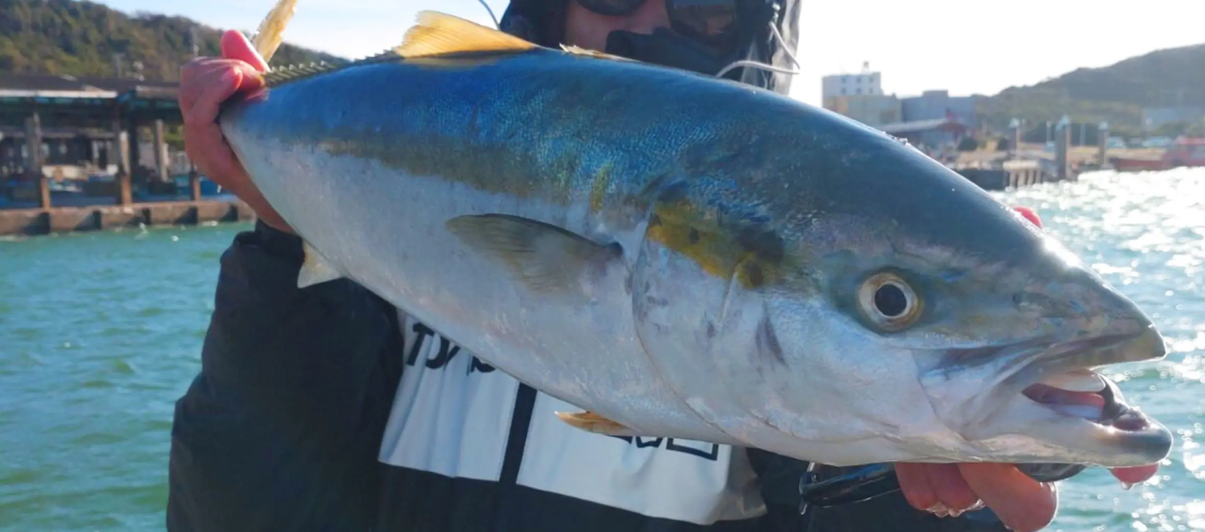 釣り人が港の近くで大きなブリを持ち上げている様子