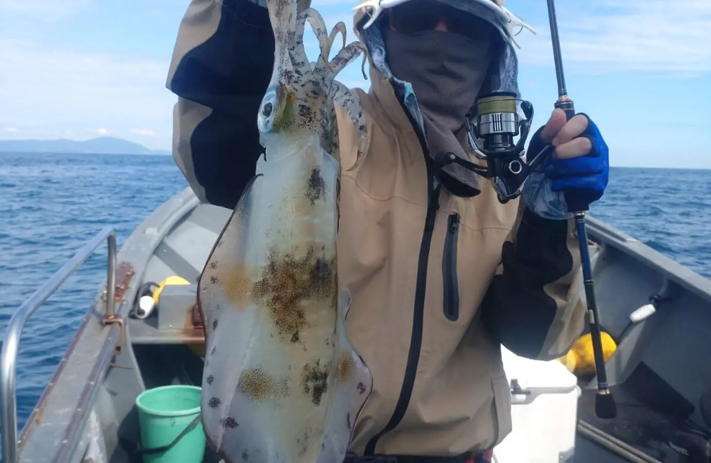 釣り人がボートの上で大きなアオリイカを釣り上げている様子